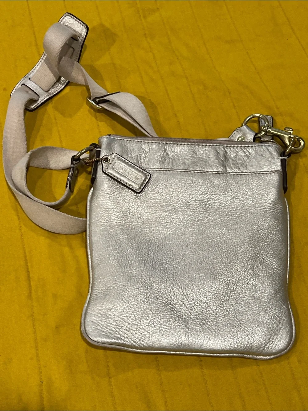 Metallic Silver Crossbody Bag with Gold Accent